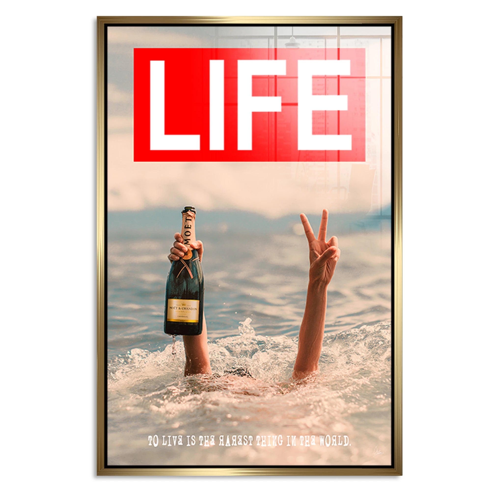 Life Moment Acrylglasbild