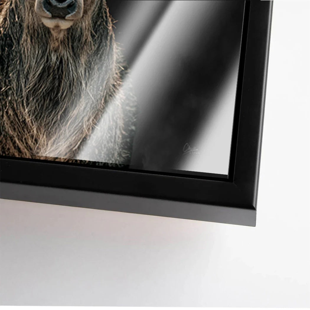 Hirsch Royal Art Acrylglasbild