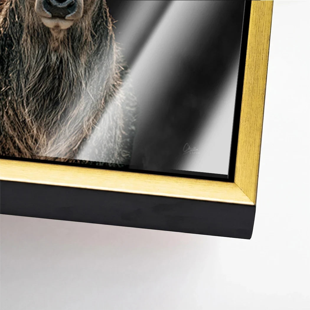Hirsch Royal Art Acrylglasbild