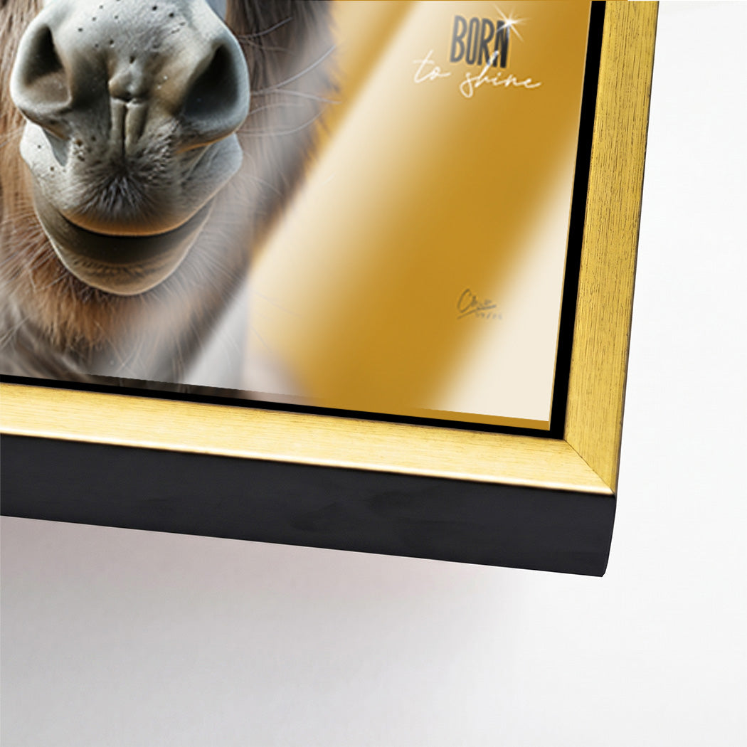 Esel Vogue Acrylglasbild