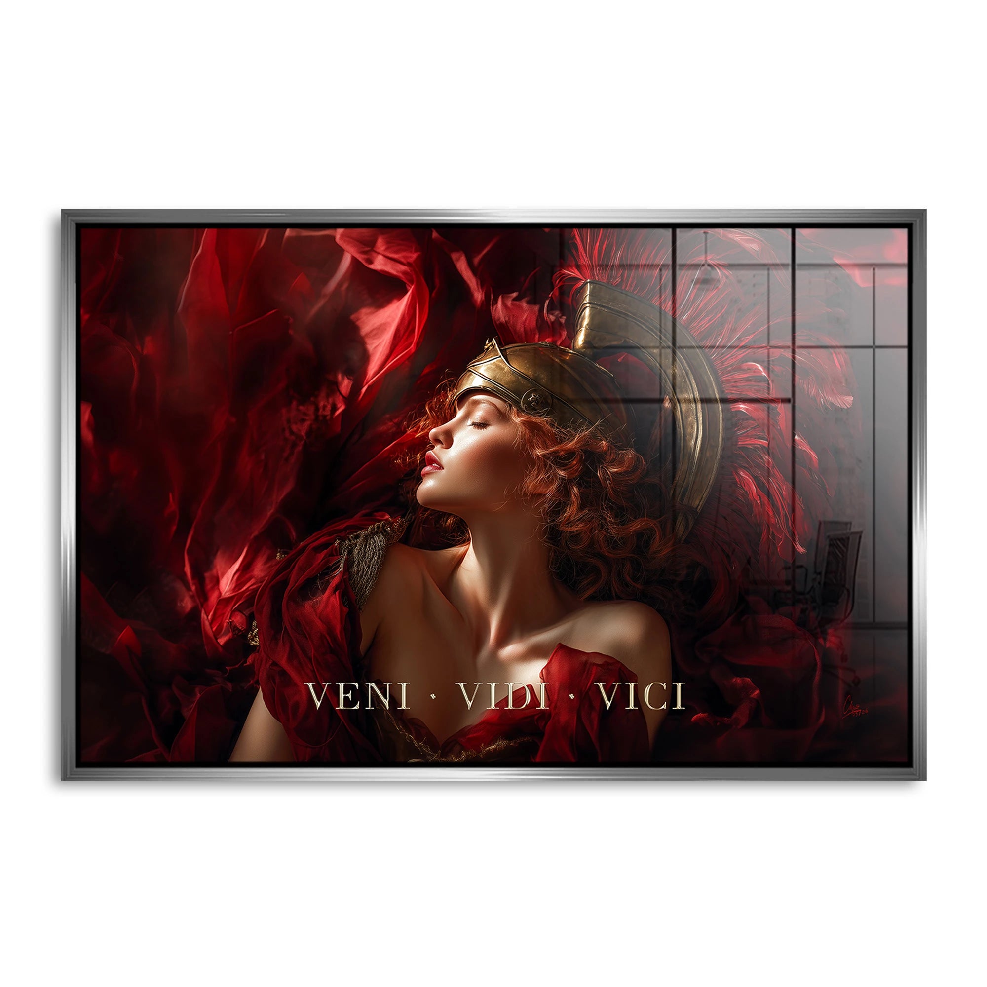 Veni Vidi Vici Acrylglasbild