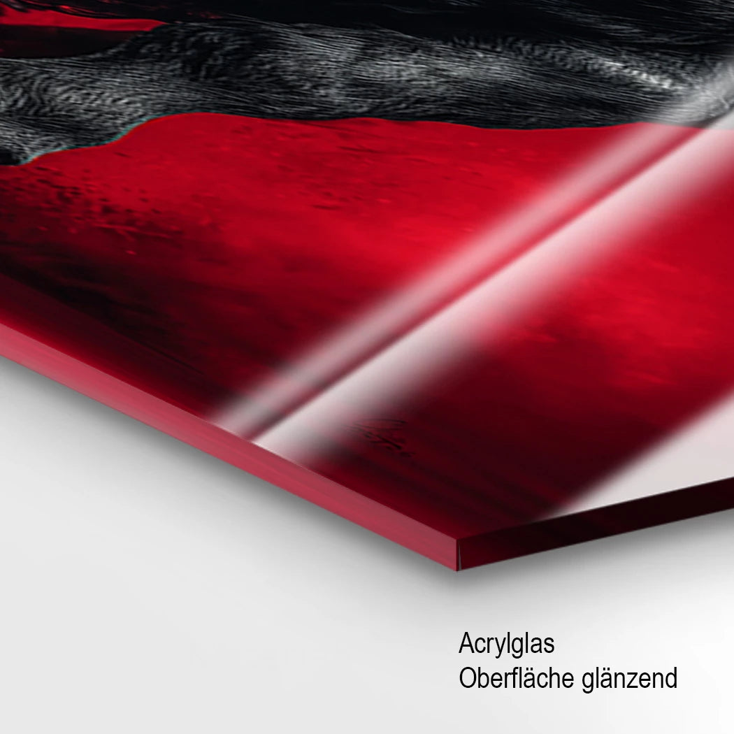 Schwarzer Stier Acrylglasbild