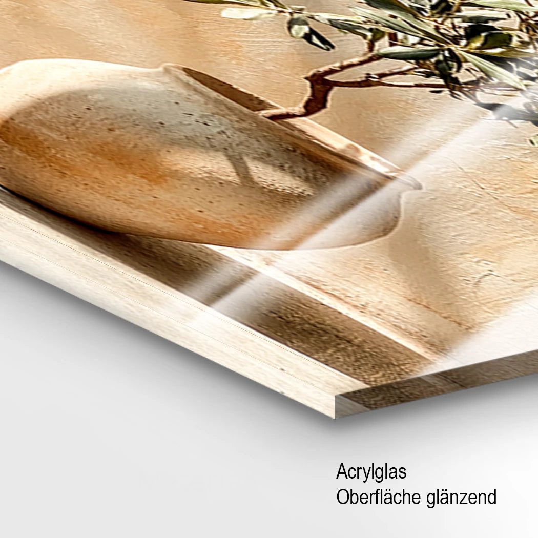 Der Olivenbaum Acrylglasbild