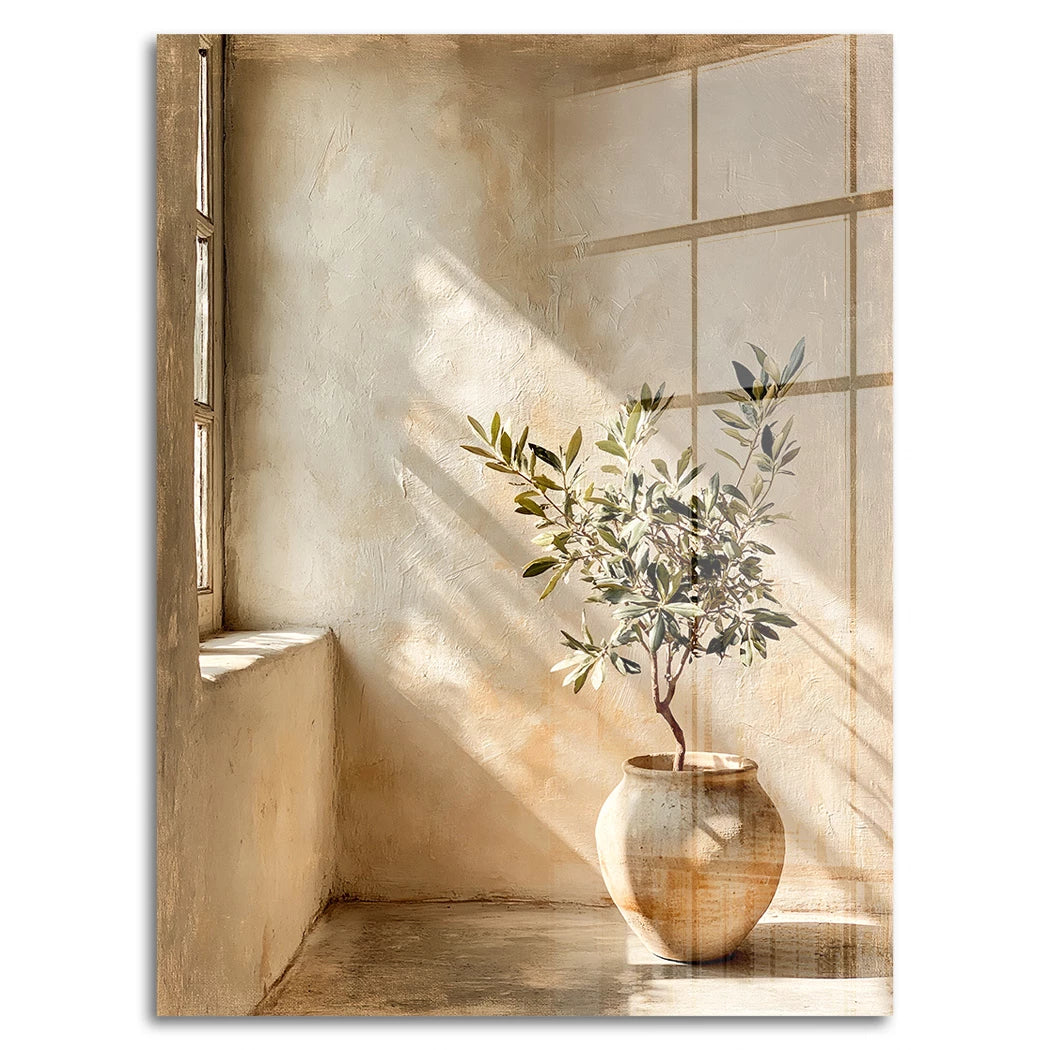 Der Olivenbaum Acrylglasbild
