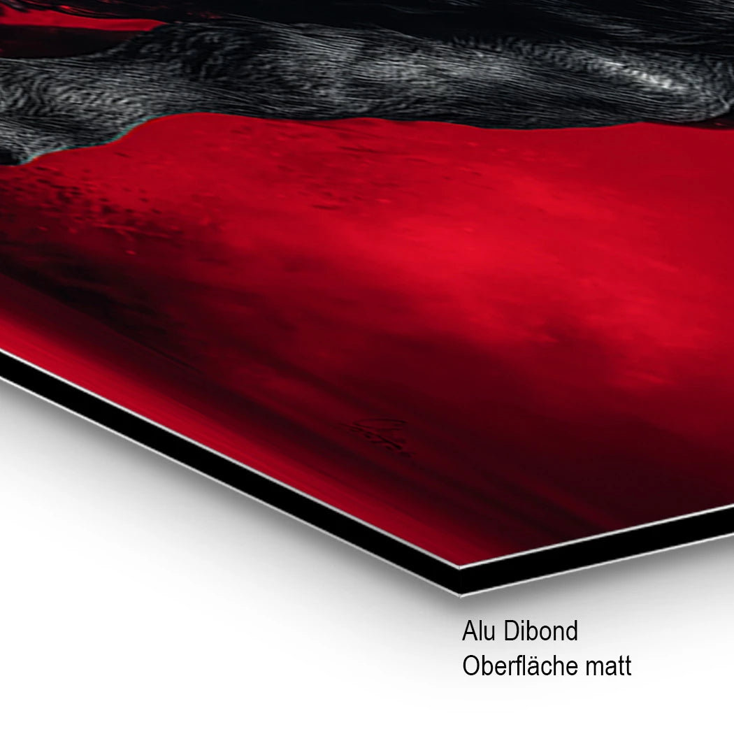 Schwarzer Stier Alu Dibond Wandbild