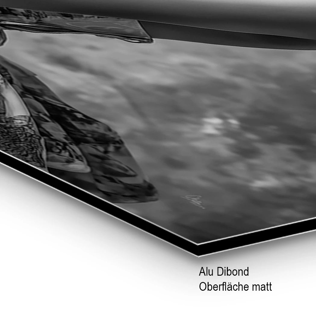 Rosen Schönheit Alu Dibond Wandbild