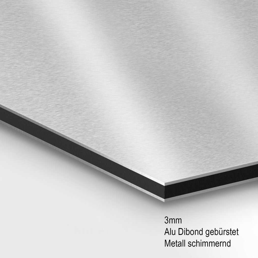 Deutschland Karte Gold Retro Aluminiumbild gebürstet INGALERIE