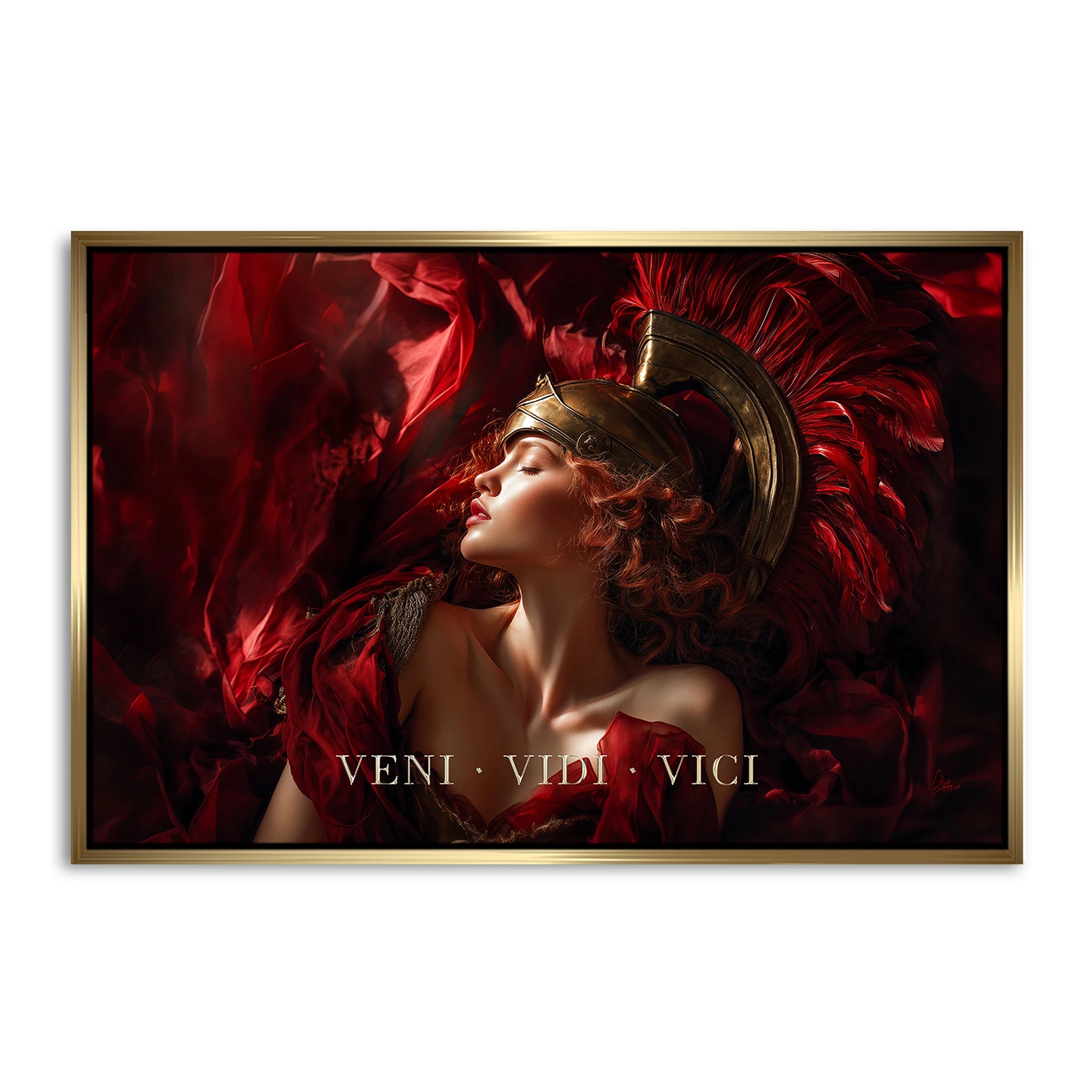 Veni Vidi Vici AluDibond Wandbild