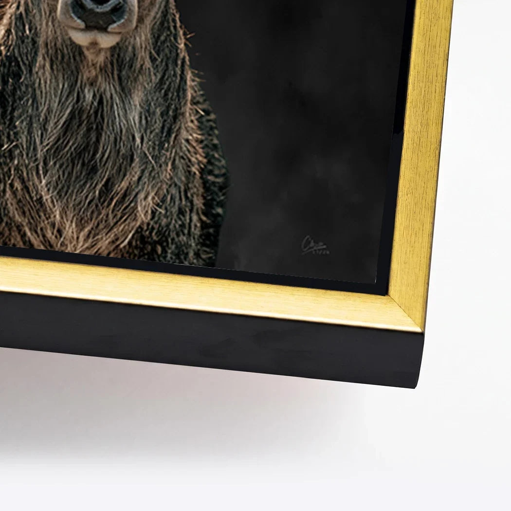 Hirsch Royal Art Alu Dibond Wandbild