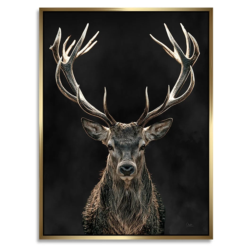 Hirsch Royal Art Alu Dibond Wandbild