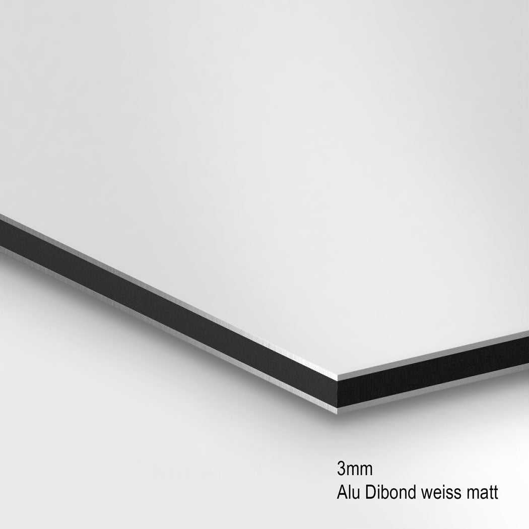 Schlafender Tiger AluDibond Wandbild INGALERIE