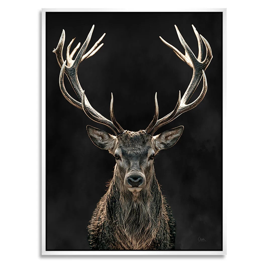 Hirsch Royal Art Alu Dibond Wandbild