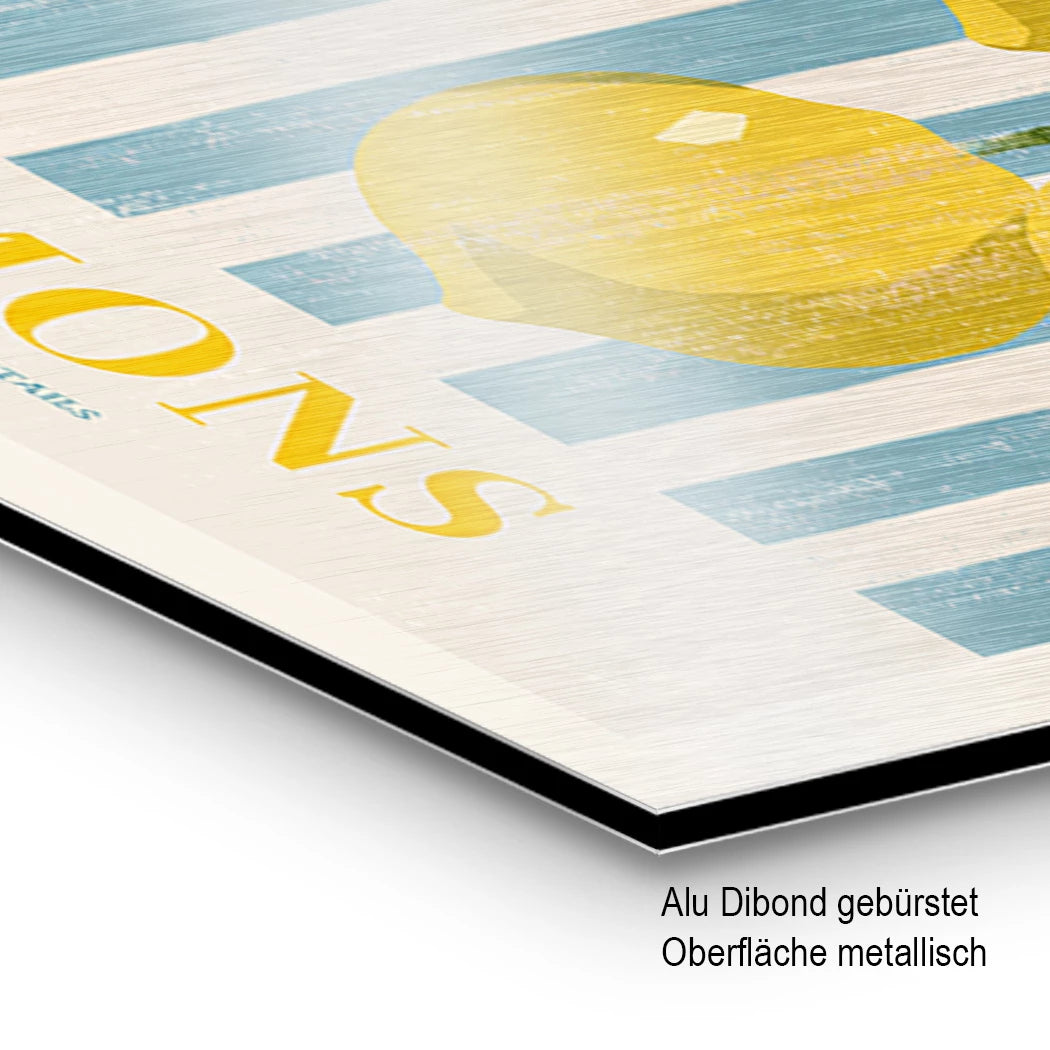 Lemons Cocktail Aluminiumbild gebürstet