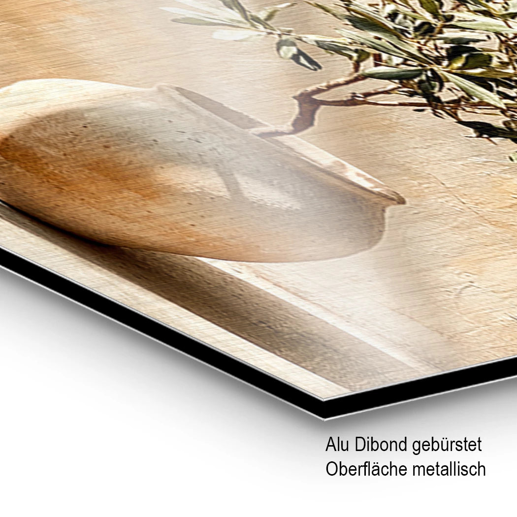 Der Olivenbaum Aluminiumbild gebürstet