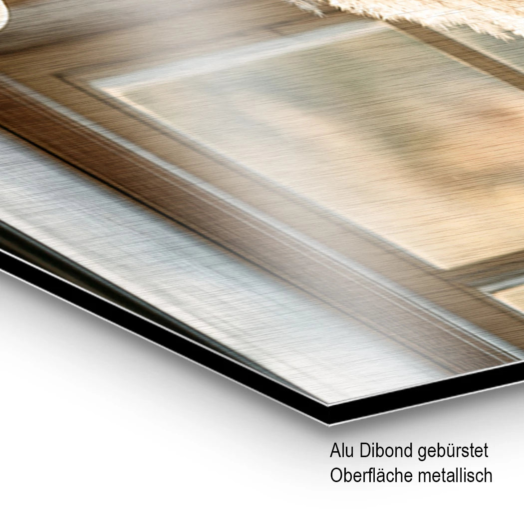 Pampas Fensterlicht Aluminiumbild gebürstet