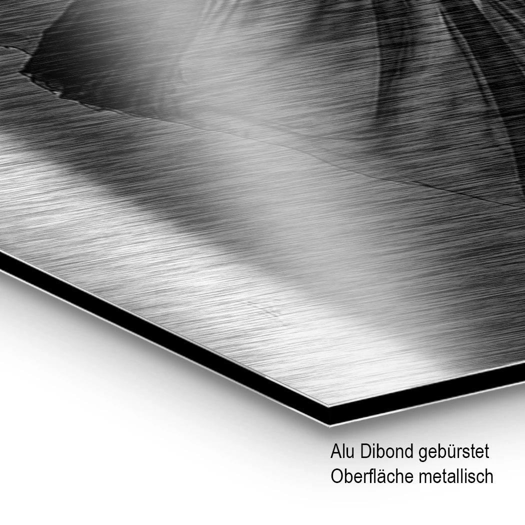 Ballerina Schattenpoesie Aluminiumbild gebürstet
