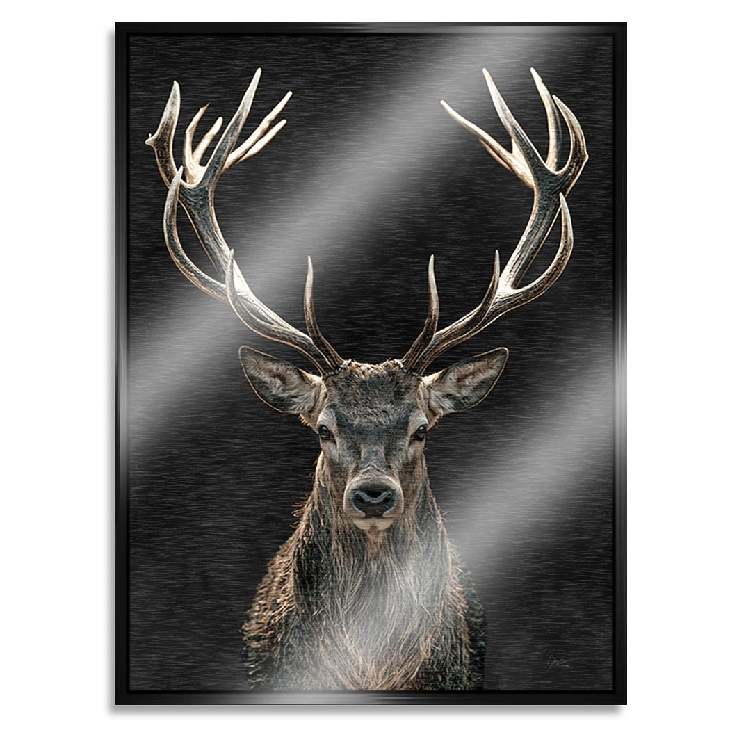 Hirsch Black Art Aluminiumbild gebürstet