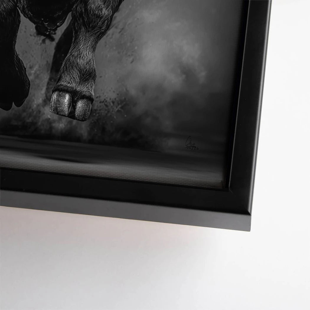 Stier Prestige Leinwand Bild