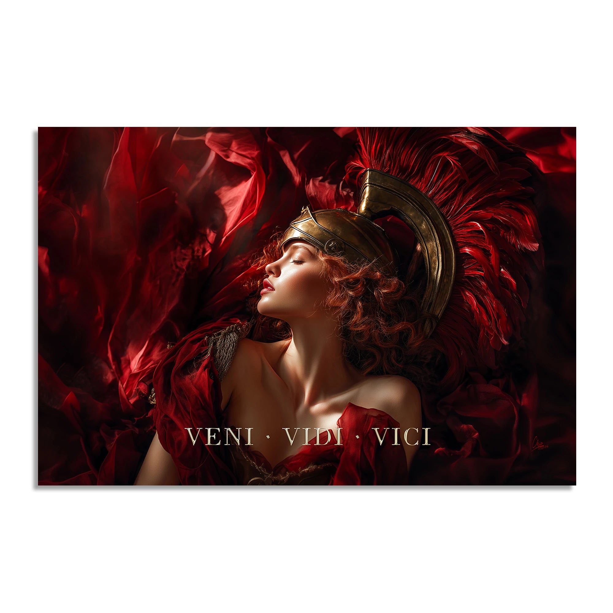 Veni Vidi Vici Leinwand Bild