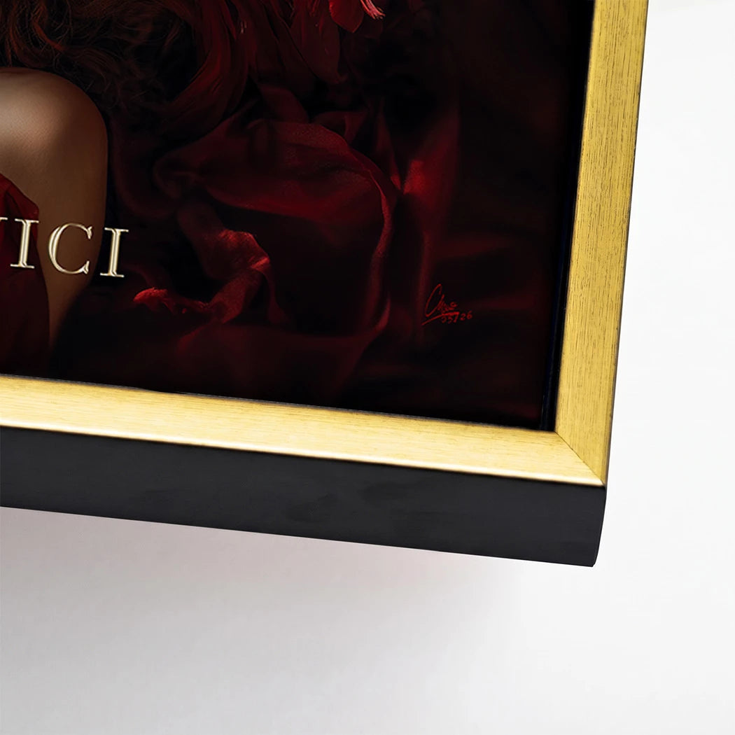 Veni Vidi Vici Leinwand Bild