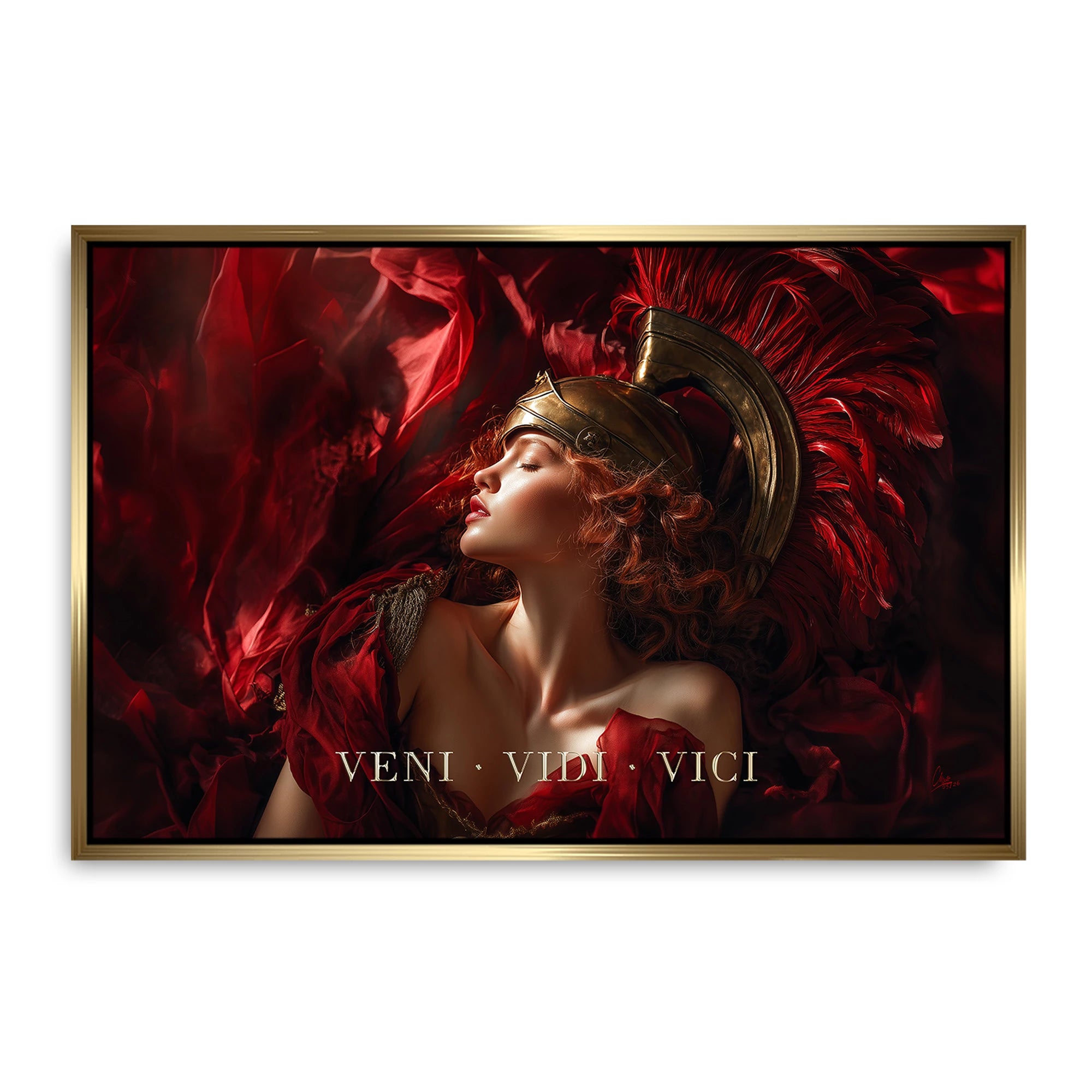 Veni Vidi Vici Leinwand Bild
