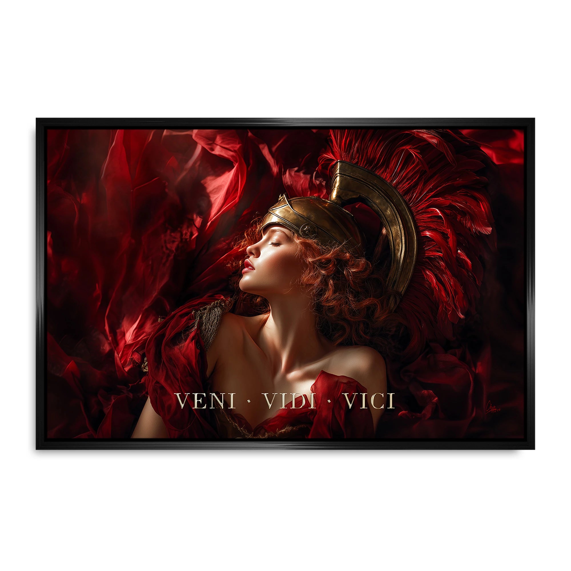 Veni Vidi Vici Leinwand Bild