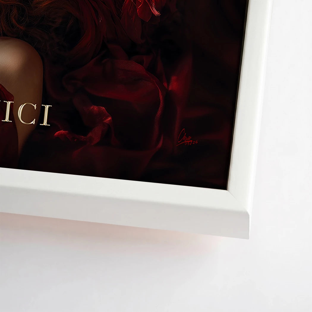 Veni Vidi Vici Leinwand Bild