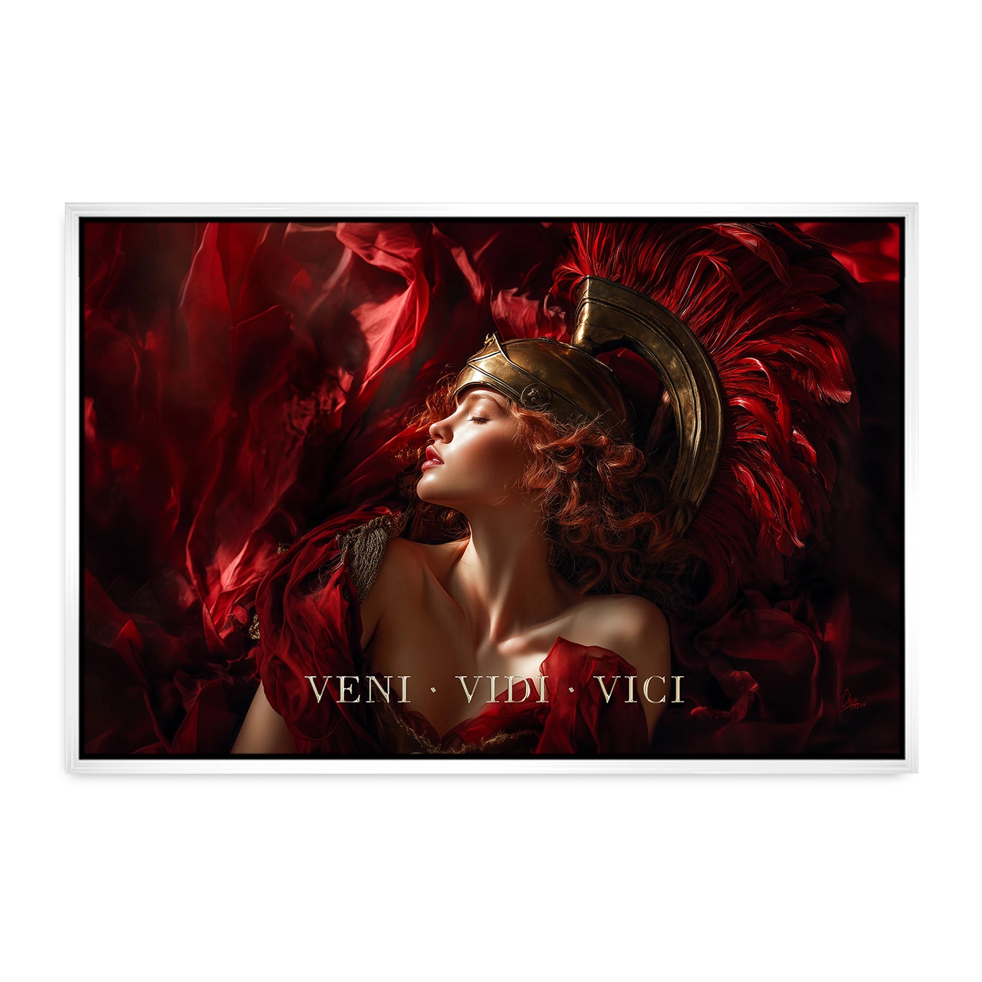 Veni Vidi Vici Leinwand Bild
