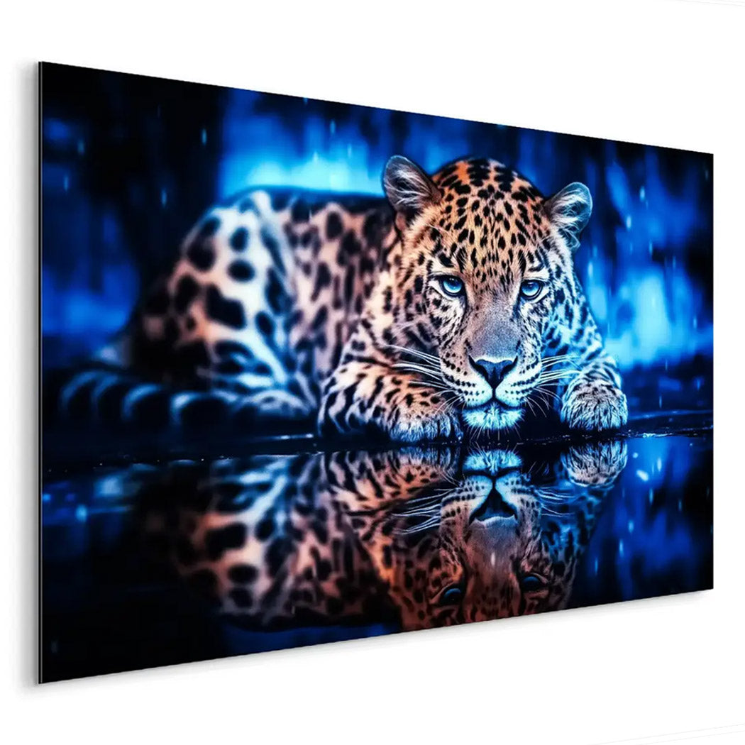 Leopard by Night AluDibond Bild INGALERIE
