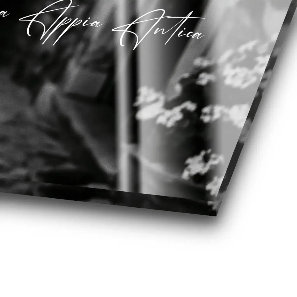 Sophia Loren Roma Acrylglasbild