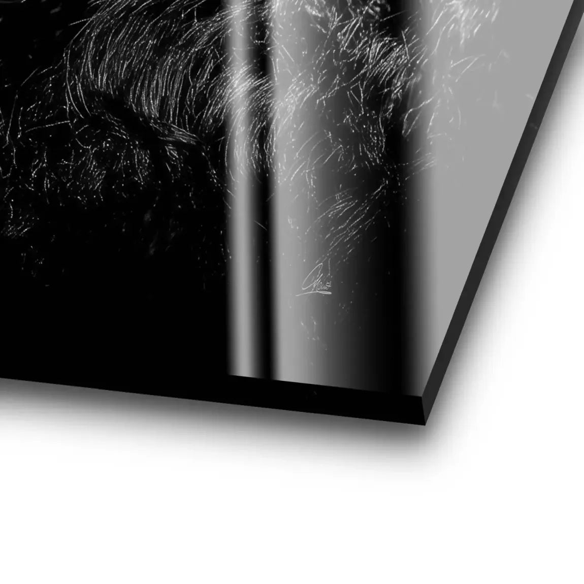 Silent Rhythm Acrylglas Bild