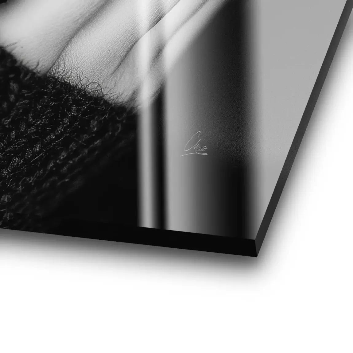 Silent Graze Acrylglas Bild