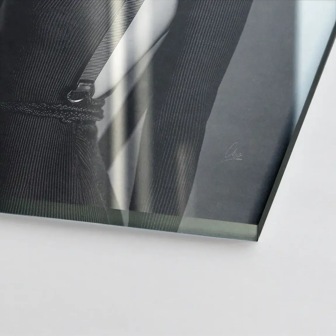 Silent Blade Acrylglasbild