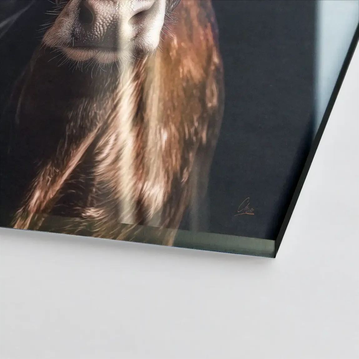 Kuh mit Strohhut Acrylglasbild