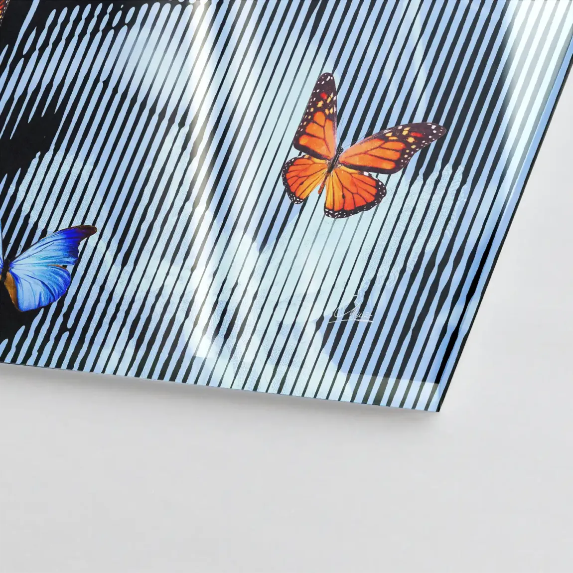 Flüstern der Schmetterlinge Acrylglasbild INGALERIE