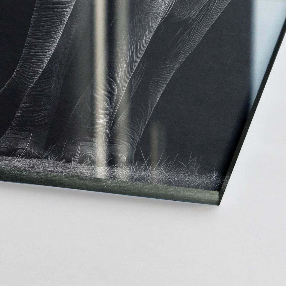 Black Elefant Acrylglasbild