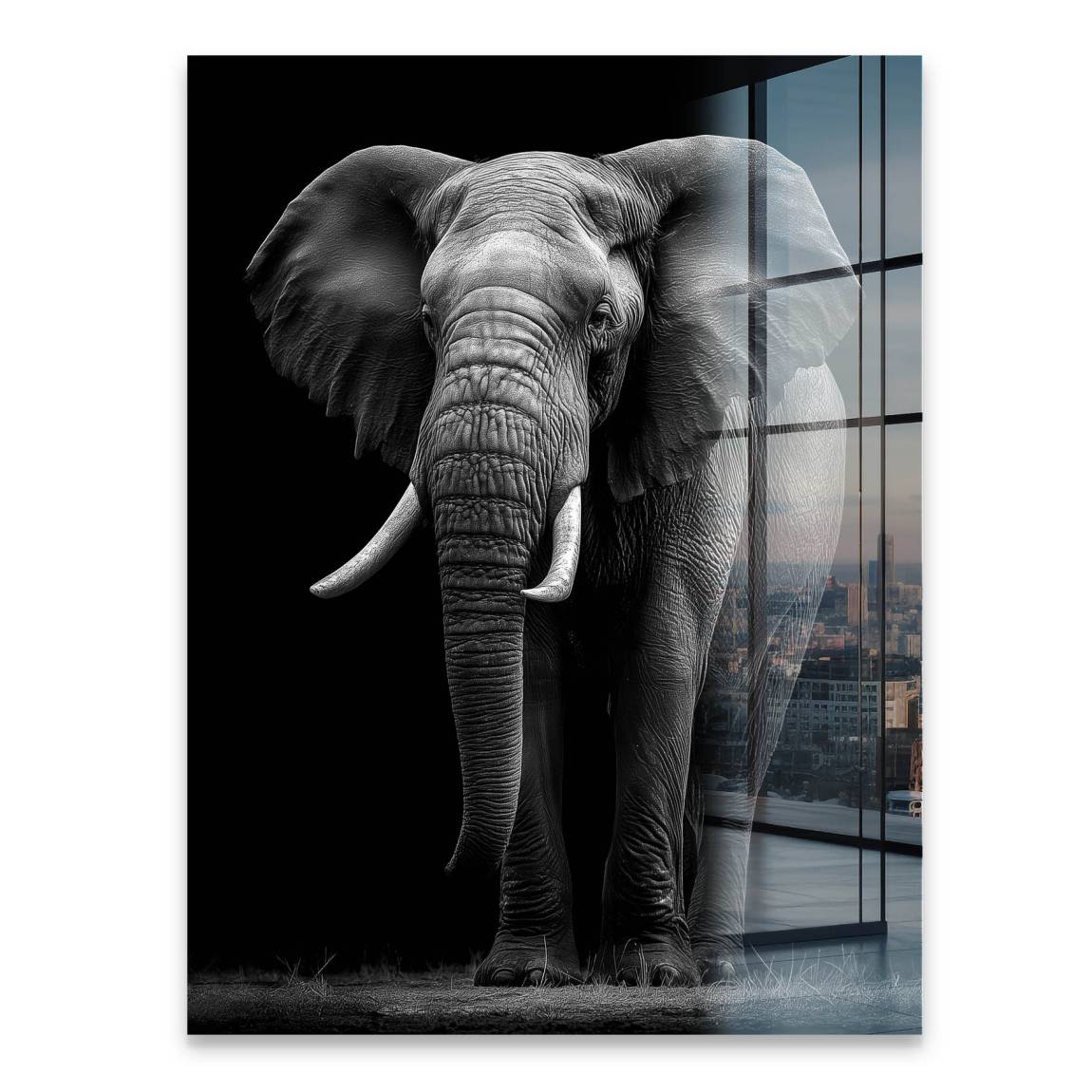 Black Elefant Acrylglasbild