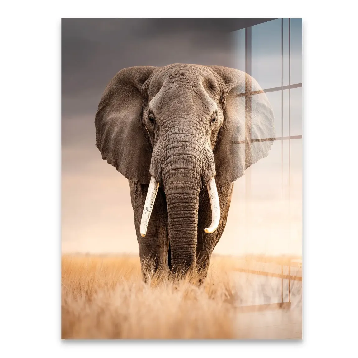 Savanne Elefant Acrylglasbild