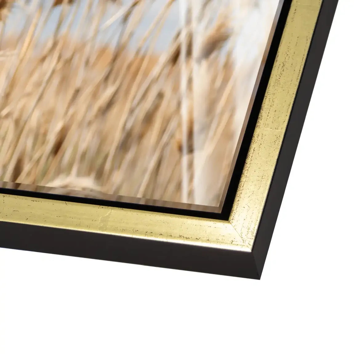 Whispering Reeds Acrylglas Bild - INGALERIE | Dein Onlineshop für moderne Wandbilder
