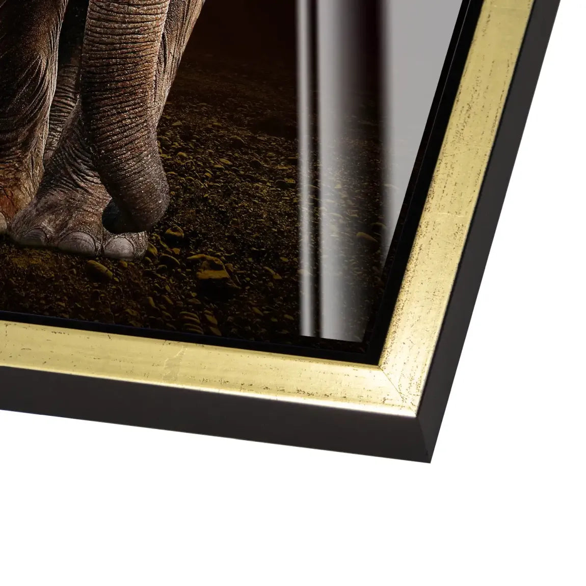 Majestät der Savanne im Abendrot Acrylglas Bild INGALERIE