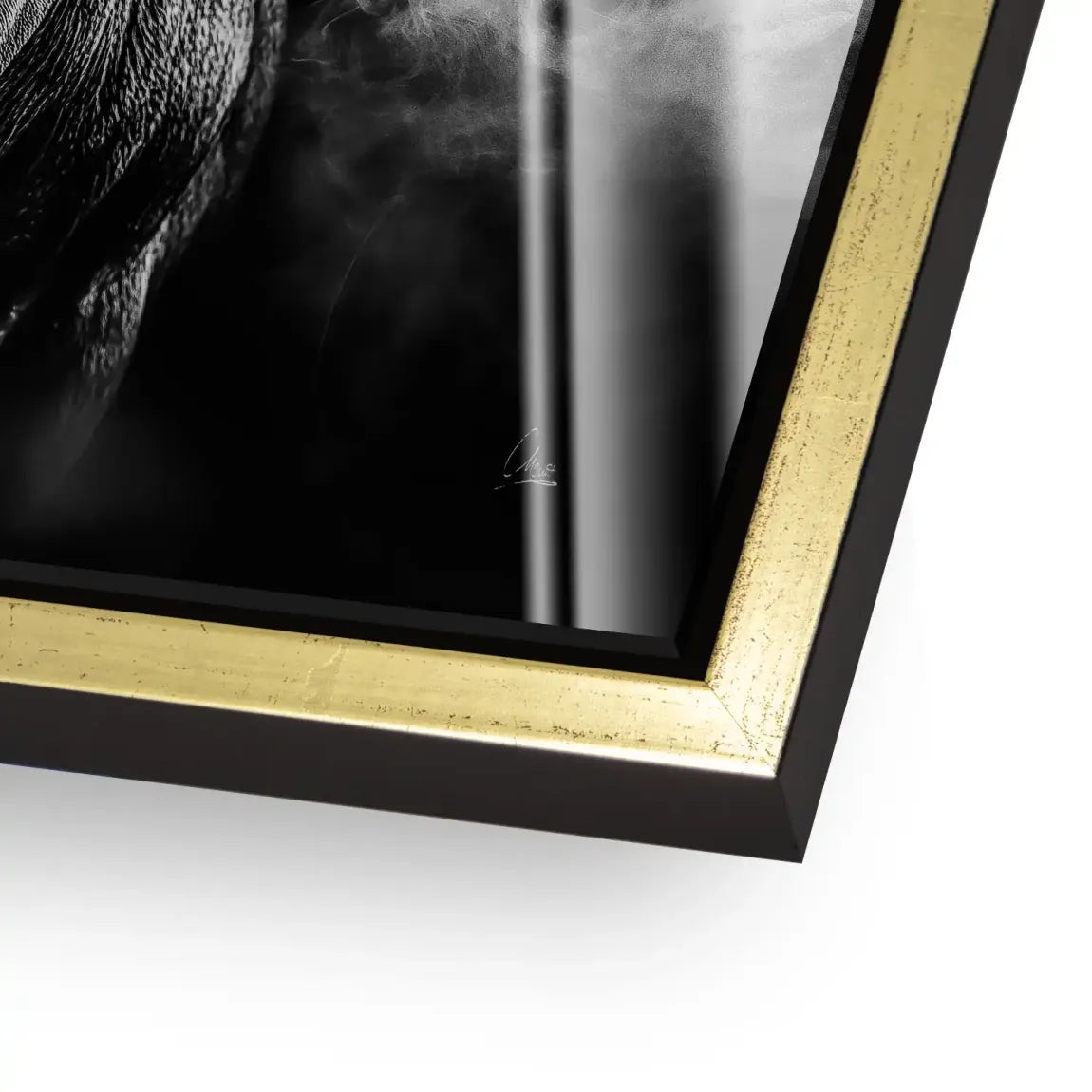 Black Bull Vision Acrylglas Bild