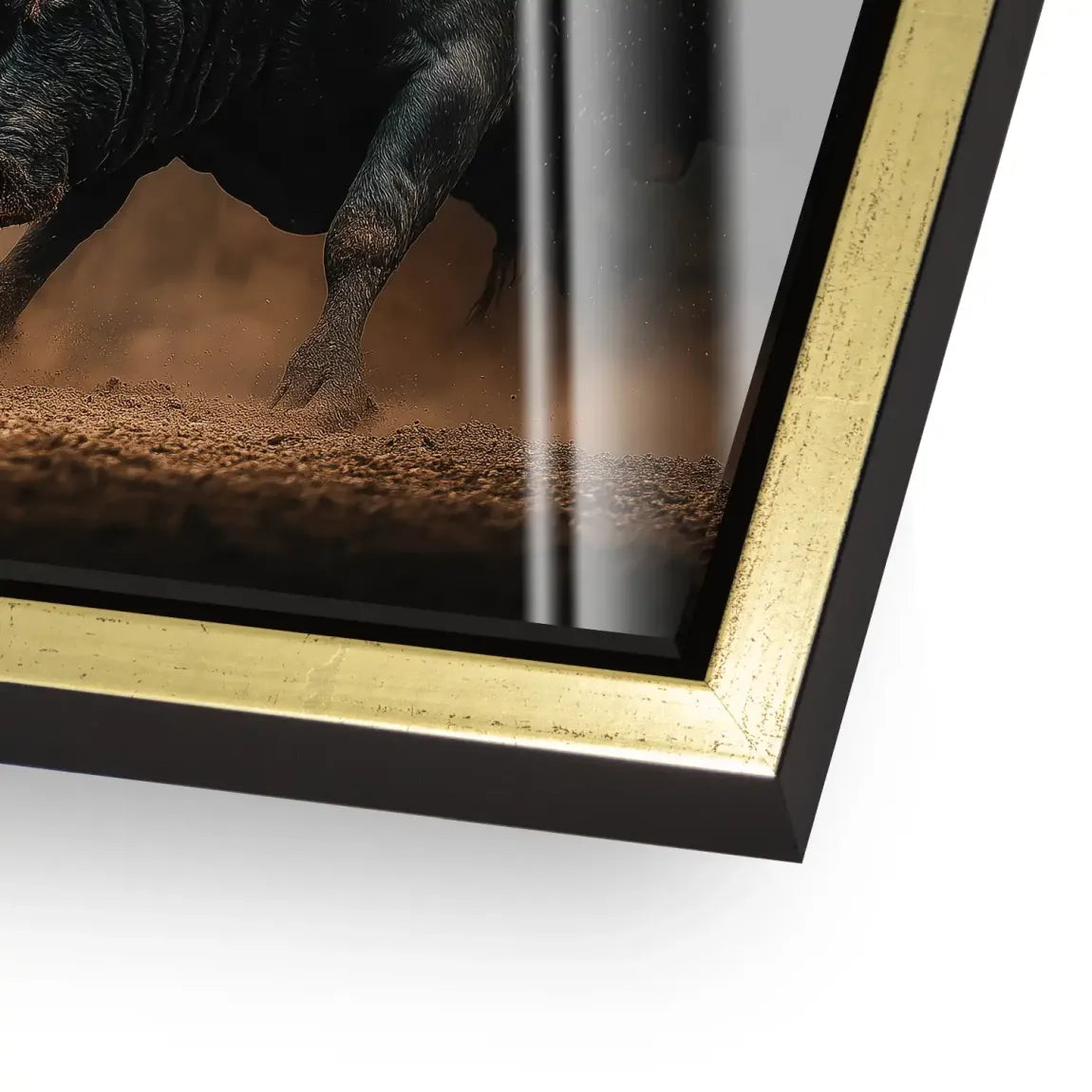 Bulls of Valor Acrylglas Bild