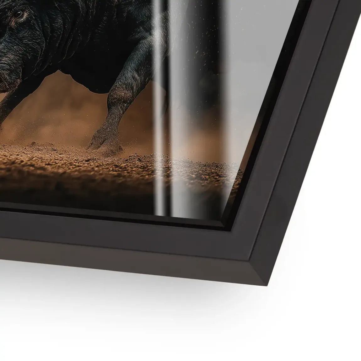 Bulls of Valor Acrylglas Bild