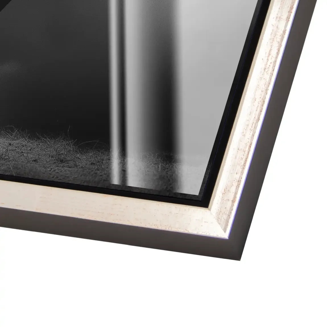 Stier Noir Acrylglasbild