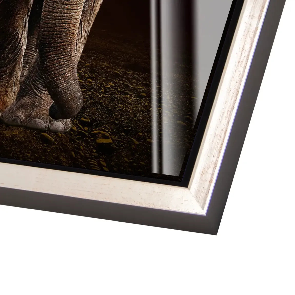 Majestät der Savanne im Abendrot Acrylglas Bild INGALERIE