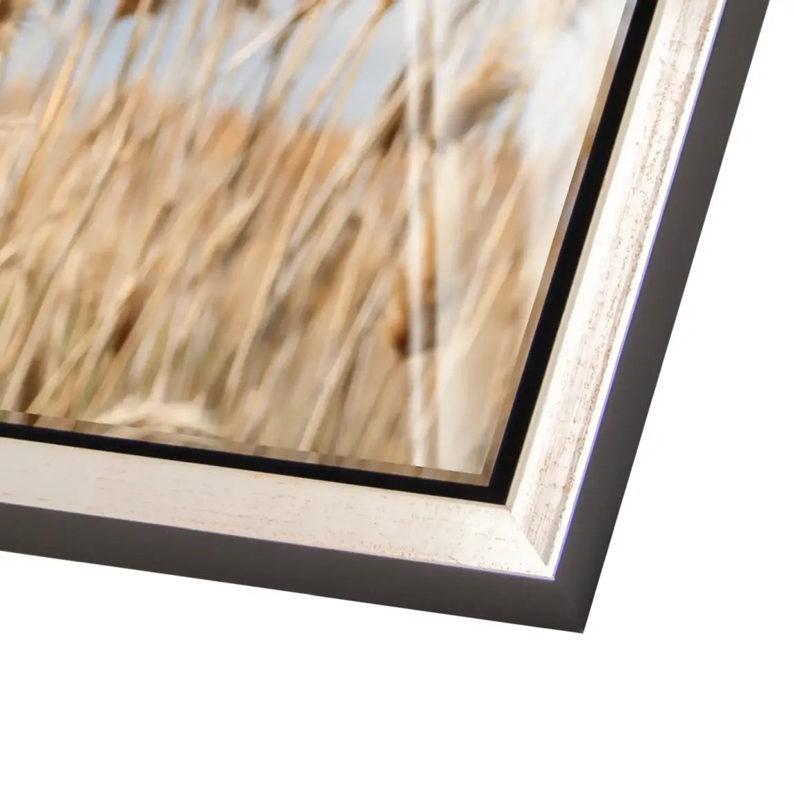 Whispering Reeds Acrylglas Bild - INGALERIE | Dein Onlineshop für moderne Wandbilder
