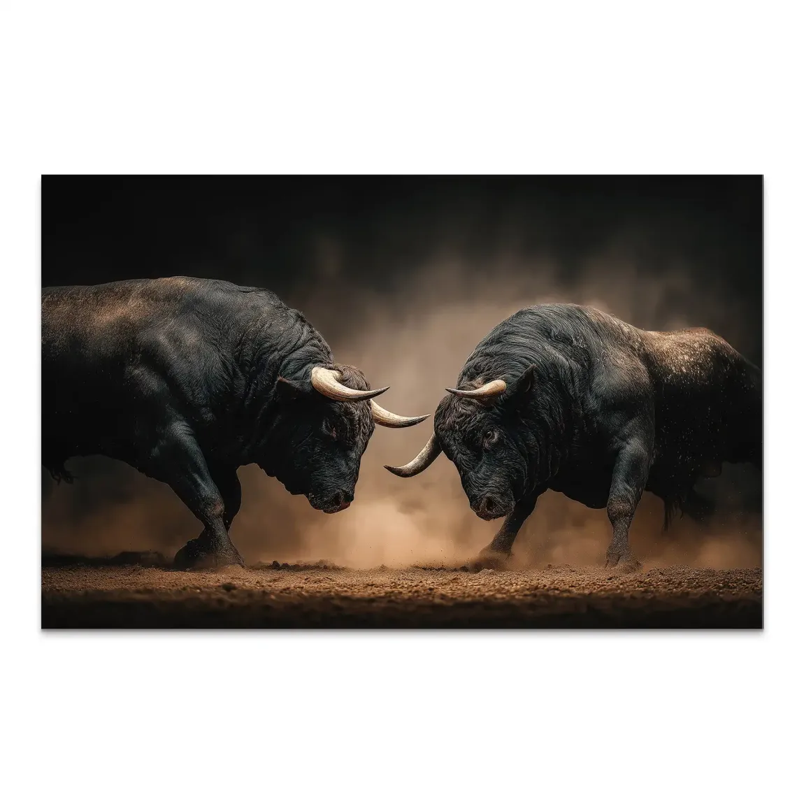 Bulls of Valor AluDibond Bild