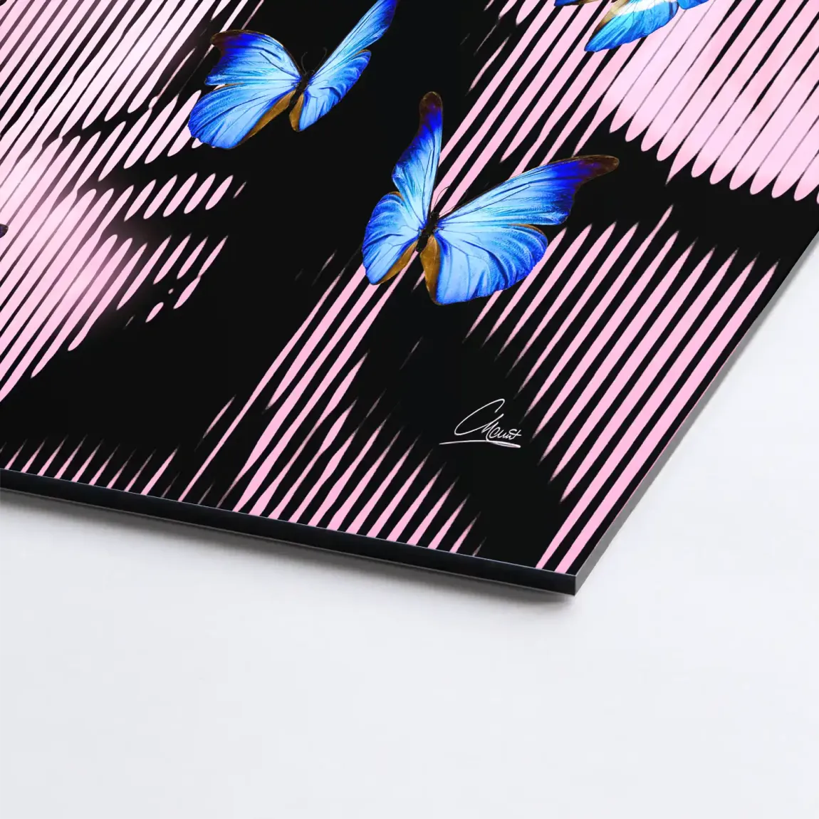 Silent Butterfly Alu Dibond Bild INGALERIE