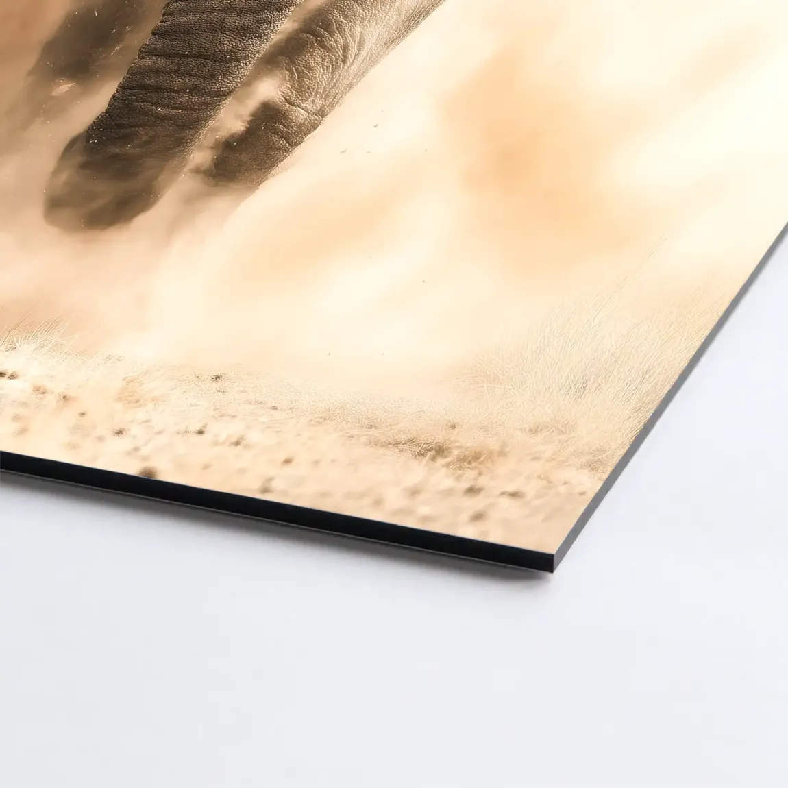 Emperor of the Savannah Alu Dibond Bild INGALERIE