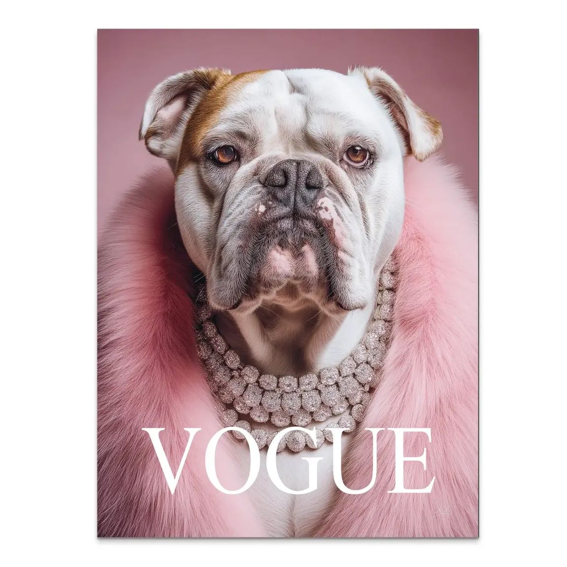 Bulldogge Vogue Alu Dibond Bild